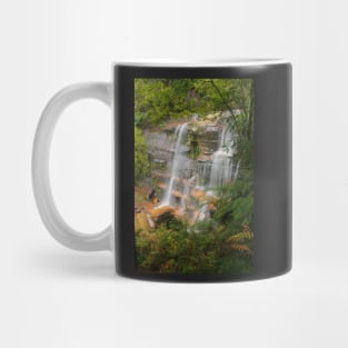 Flat Rock Falls Mug